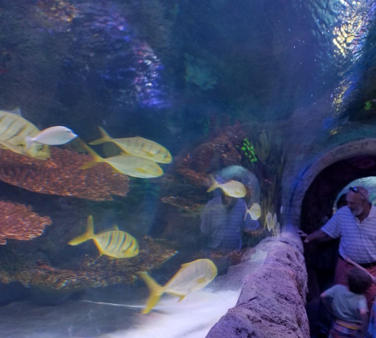 VIA Aquarium (Schenectady,&nbspNY)